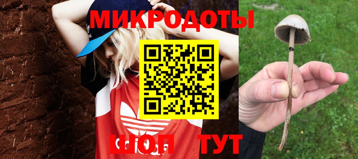 Псилоцибиновые грибы Cubensis Аша