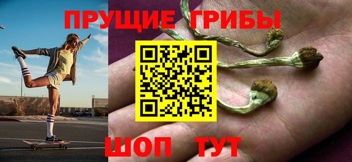 Псилоцибиновые грибы Magic Shrooms  Галлюциногенные грибы Psilocybe  Вход с VPN  Аша 