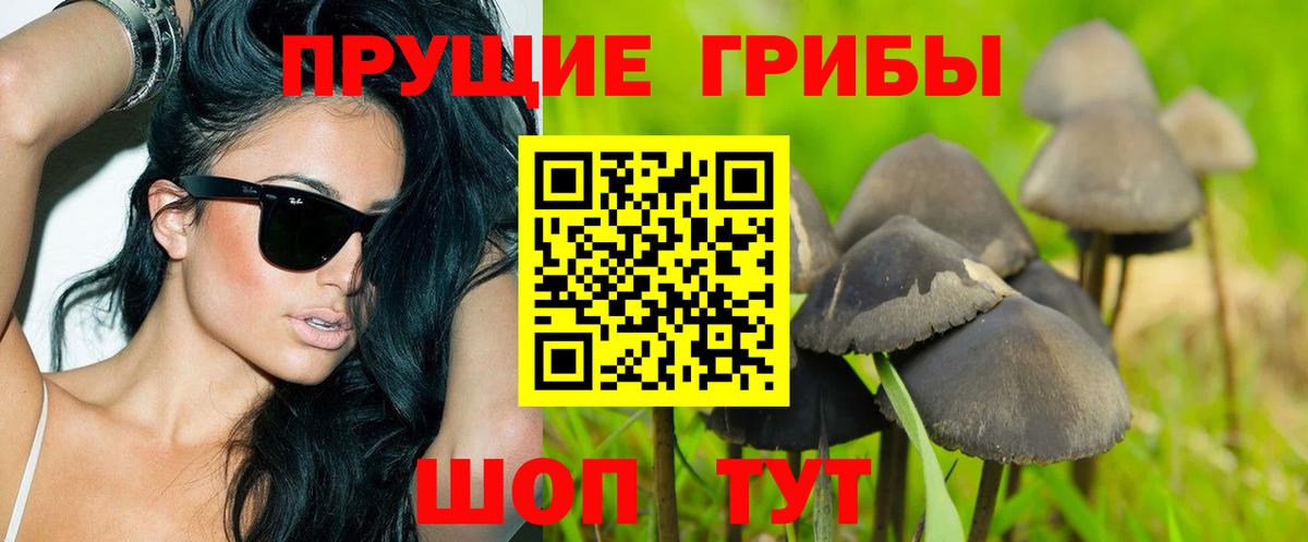 Галлюциногенные грибы Psilocybine cubensis  Аша 