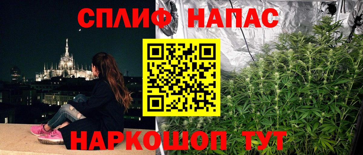 Шишки марихуана гибрид Аша